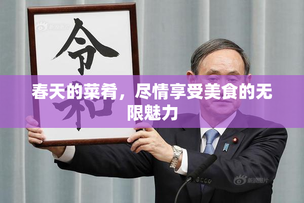 春天的菜肴，尽情享受美食的无限魅力
