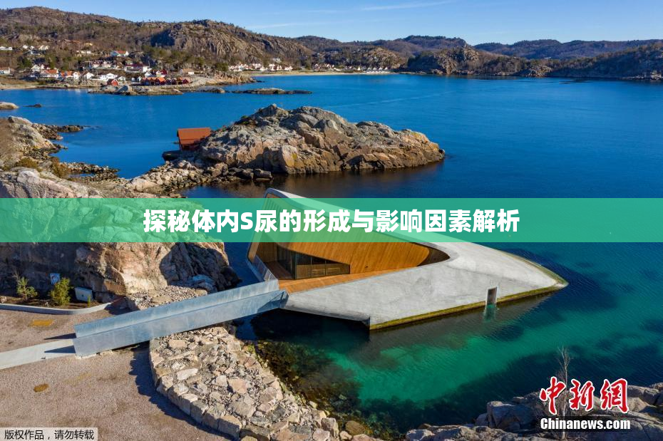 探秘体内S尿的形成与影响因素解析
