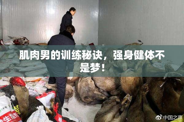 肌肉男的训练秘诀，强身健体不是梦！