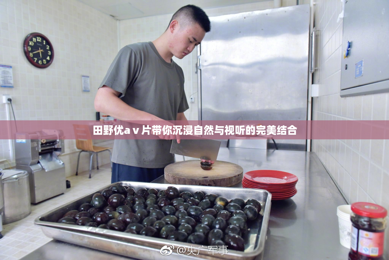 田野优aⅴ片带你沉浸自然与视听的完美结合