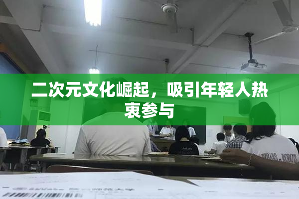 二次元文化崛起，吸引年轻人热衷参与
