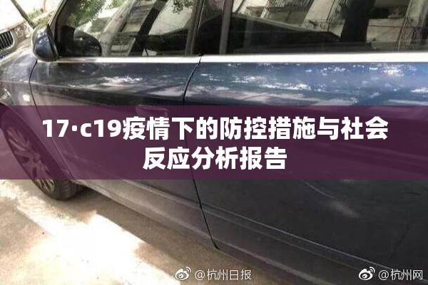 17·c19疫情下的防控措施与社会反应分析报告