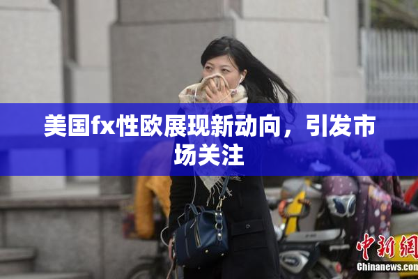 美国fx性欧展现新动向，引发市场关注