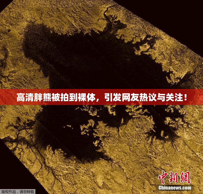 高清胖熊被拍到裸体，引发网友热议与关注！