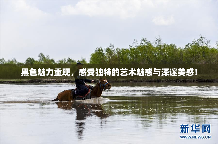 黑色魅力重现，感受独特的艺术魅惑与深邃美感！