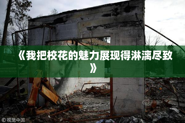 《我把校花的魅力展现得淋漓尽致》