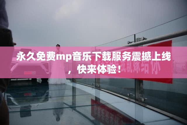 永久免费mp音乐下载服务震撼上线，快来体验！