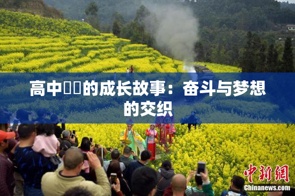 高中妺妺的成长故事：奋斗与梦想的交织