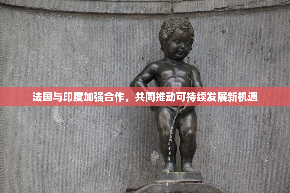 法国与印度加强合作，共同推动可持续发展新机遇