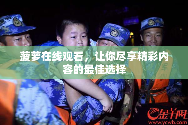 菠萝在线观看，让你尽享精彩内容的最佳选择