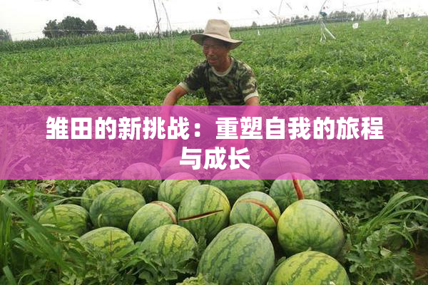 雏田的新挑战：重塑自我的旅程与成长