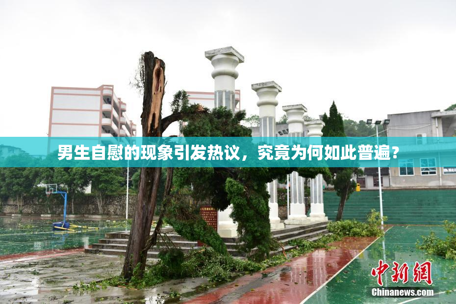 男生自慰的现象引发热议，究竟为何如此普遍？