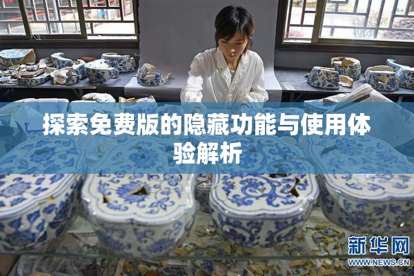 探索免费版的隐藏功能与使用体验解析