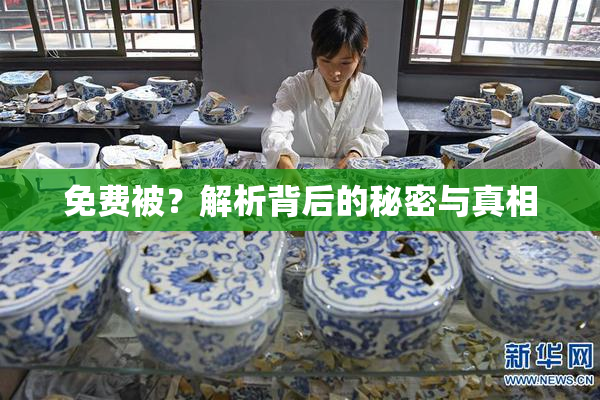 免费被？解析背后的秘密与真相