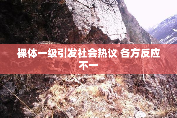 裸体一级引发社会热议 各方反应不一