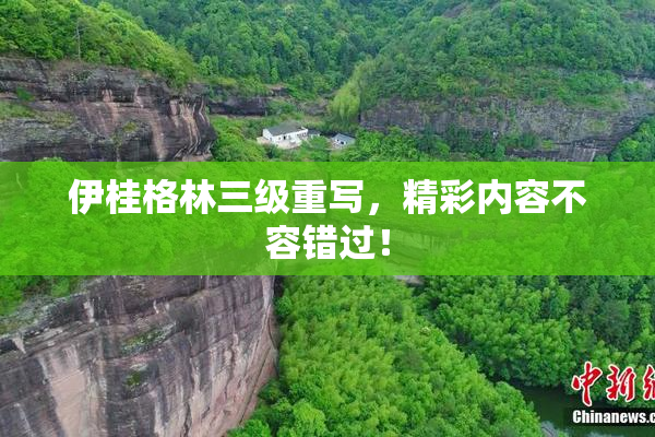 伊桂格林三级重写，精彩内容不容错过！