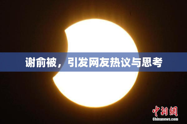 谢俞被，引发网友热议与思考