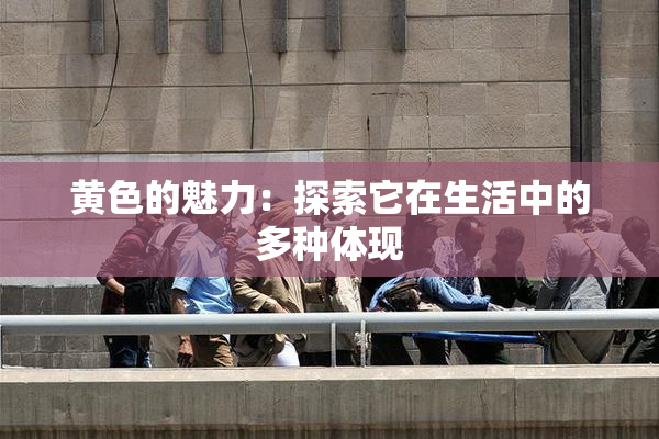黄色的魅力：探索它在生活中的多种体现