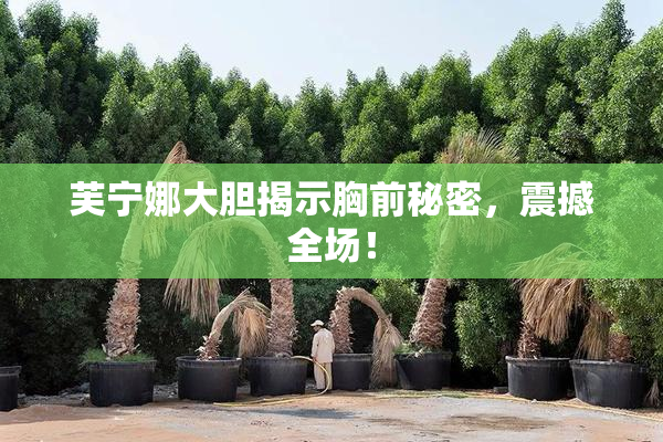 芙宁娜大胆揭示胸前秘密，震撼全场！