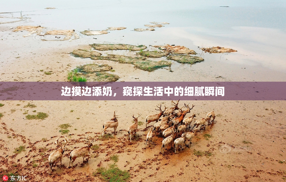 边摸边添奶，窥探生活中的细腻瞬间