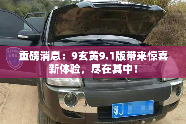 重磅消息：9玄黄9.1版带来惊喜新体验，尽在其中！