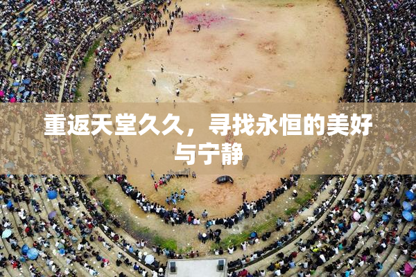 重返天堂久久，寻找永恒的美好与宁静