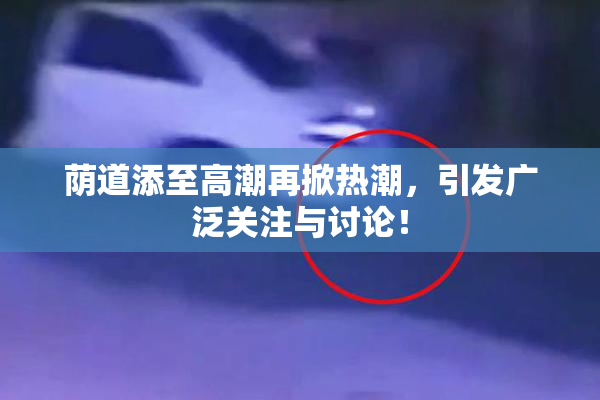 荫道添至高潮再掀热潮，引发广泛关注与讨论！