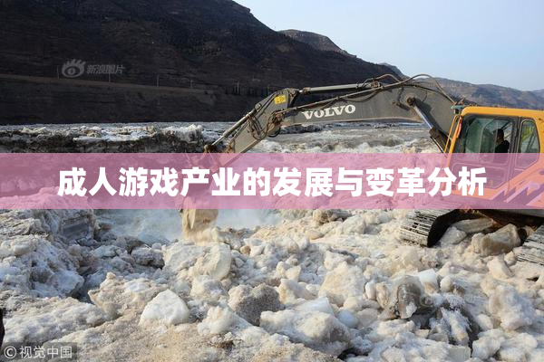 成人游戏产业的发展与变革分析