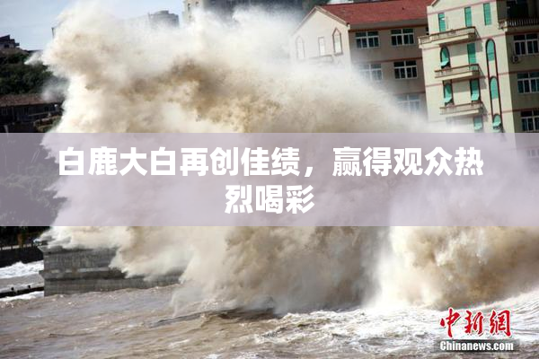 白鹿大白再创佳绩，赢得观众热烈喝彩