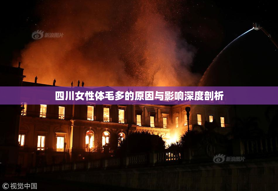 四川女性体毛多的原因与影响深度剖析