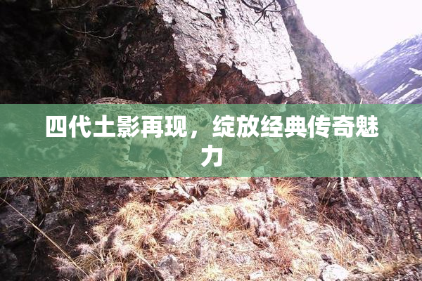 四代土影再现，绽放经典传奇魅力