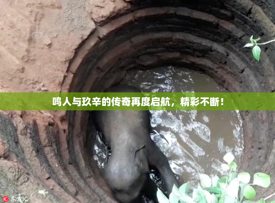 鸣人与玖辛的传奇再度启航，精彩不断！