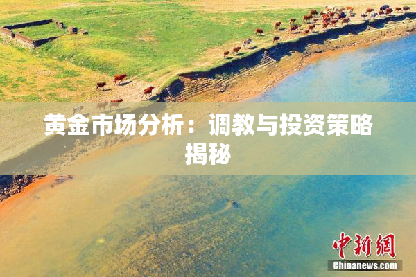 黄金市场分析：调教与投资策略揭秘