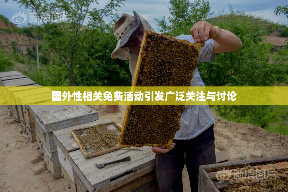 国外性相关免费活动引发广泛关注与讨论