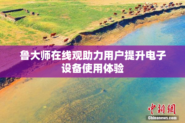 鲁大师在线观助力用户提升电子设备使用体验