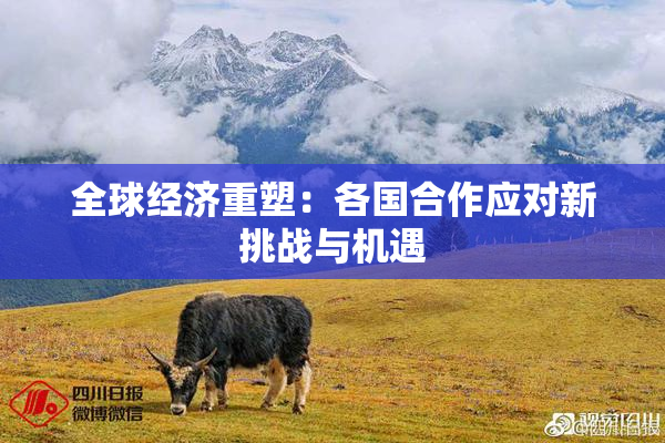 全球经济重塑：各国合作应对新挑战与机遇