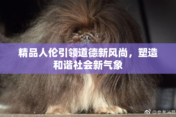 精品人伦引领道德新风尚，塑造和谐社会新气象