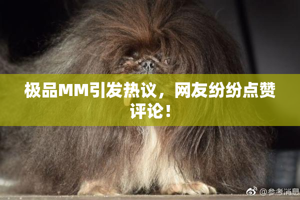 极品MM引发热议，网友纷纷点赞评论！