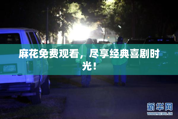 麻花免费观看，尽享经典喜剧时光！