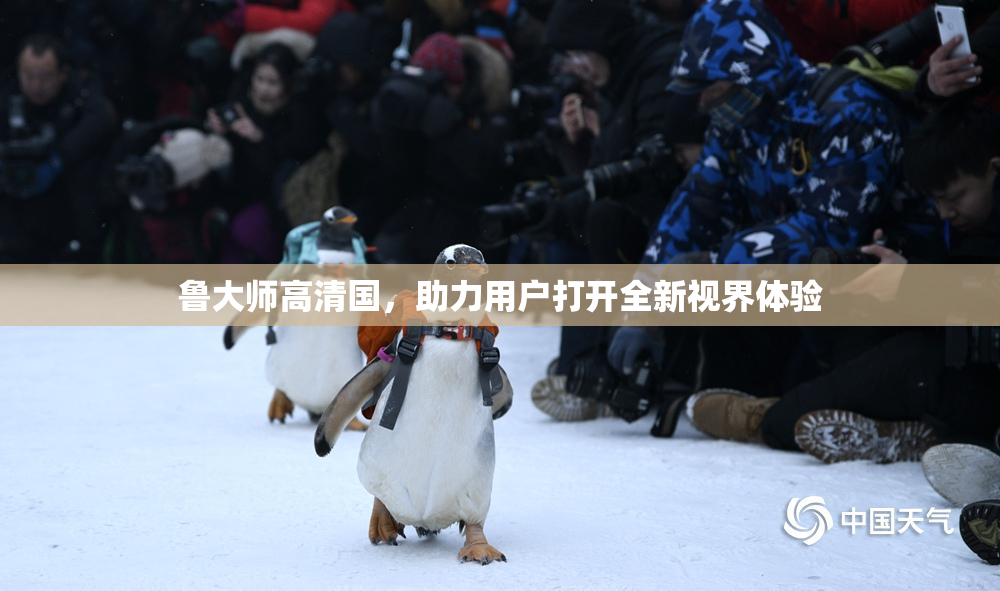 鲁大师高清国，助力用户打开全新视界体验