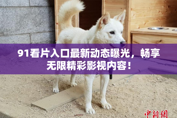 91看片入口最新动态曝光，畅享无限精彩影视内容！