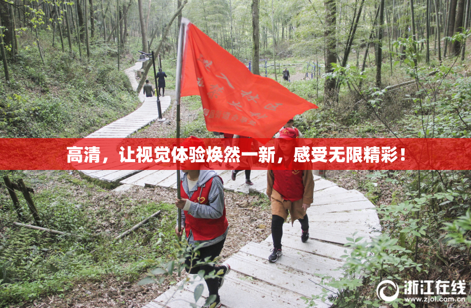 高清，让视觉体验焕然一新，感受无限精彩！