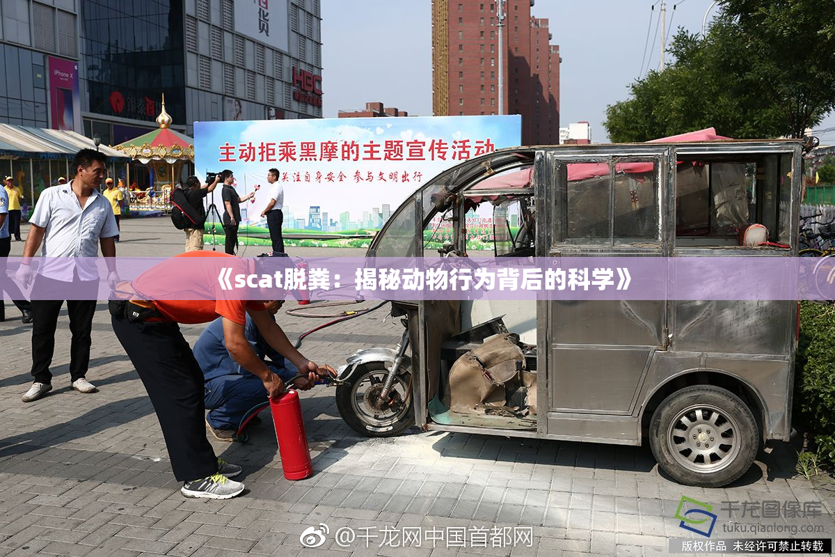 《scat脱粪：揭秘动物行为背后的科学》