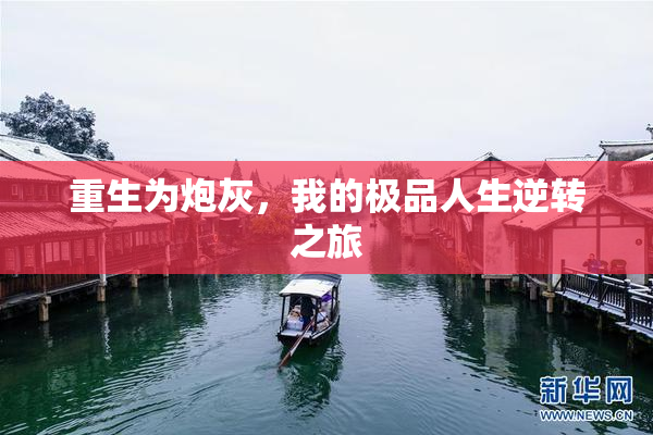 重生为炮灰，我的极品人生逆转之旅