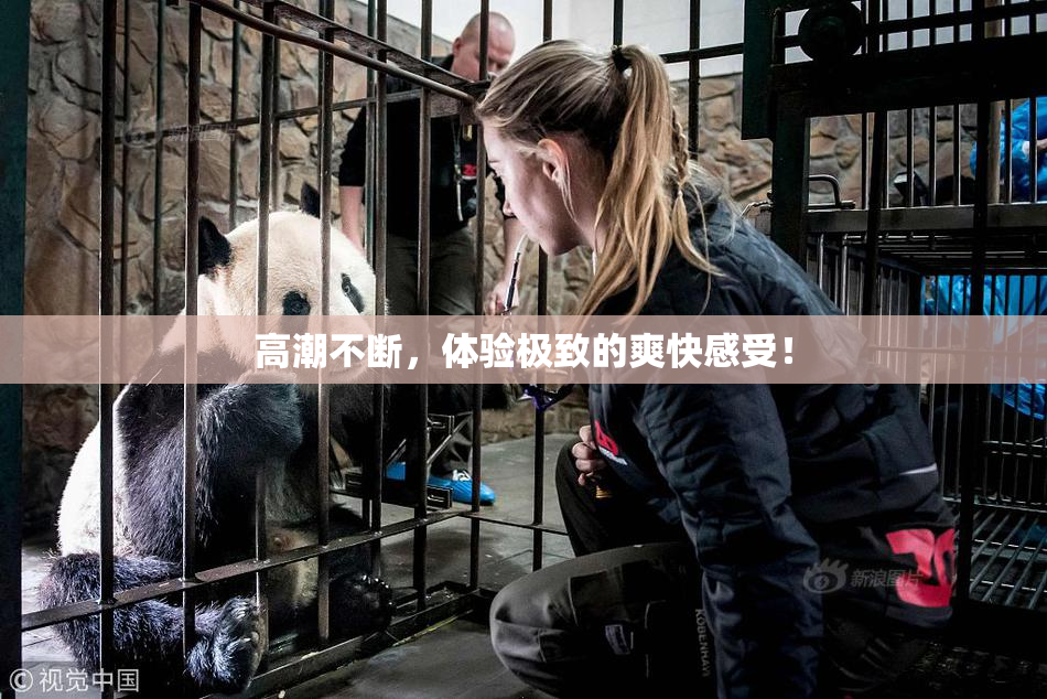 高潮不断，体验极致的爽快感受！