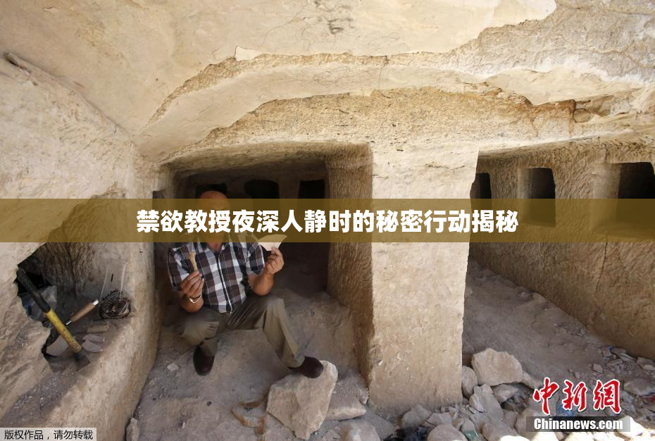 禁欲教授夜深人静时的秘密行动揭秘