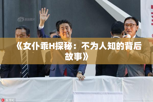 《女仆乖H探秘：不为人知的背后故事》