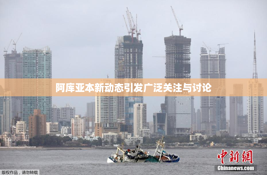 阿库亚本新动态引发广泛关注与讨论