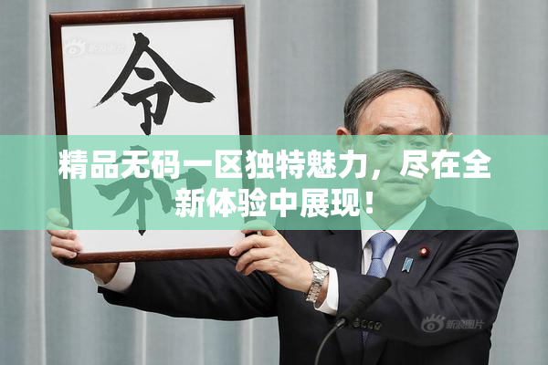 精品无码一区独特魅力，尽在全新体验中展现！