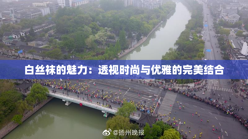 白丝袜的魅力：透视时尚与优雅的完美结合